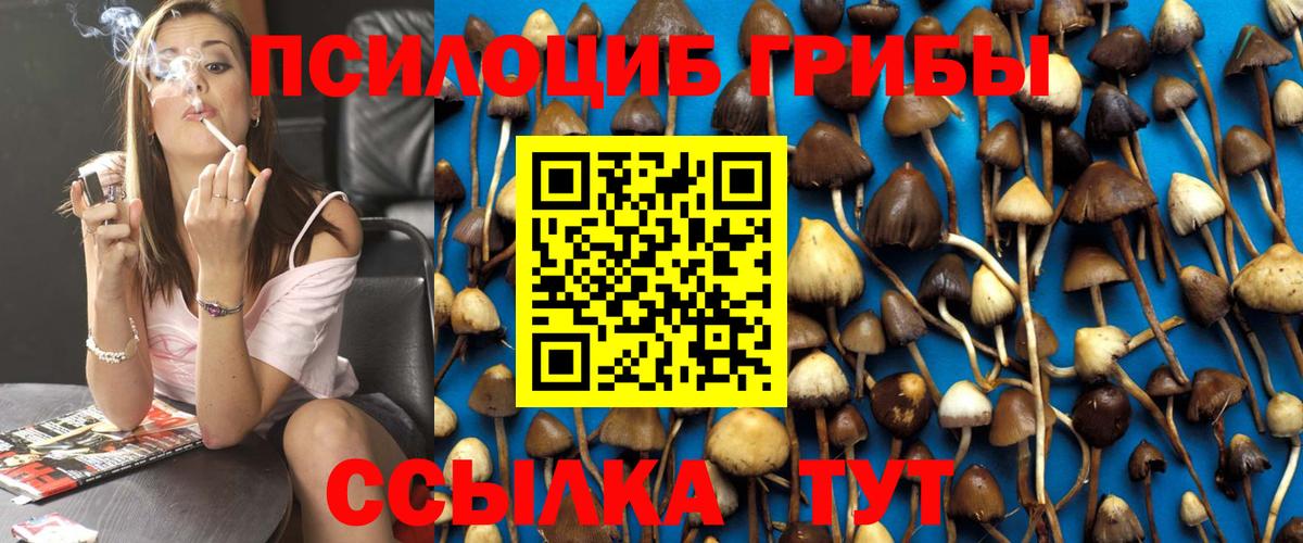 купить  цена  Вход с VPN  Среднеуральск  Псилоцибиновые грибы MAGIC MUSHROOMS 